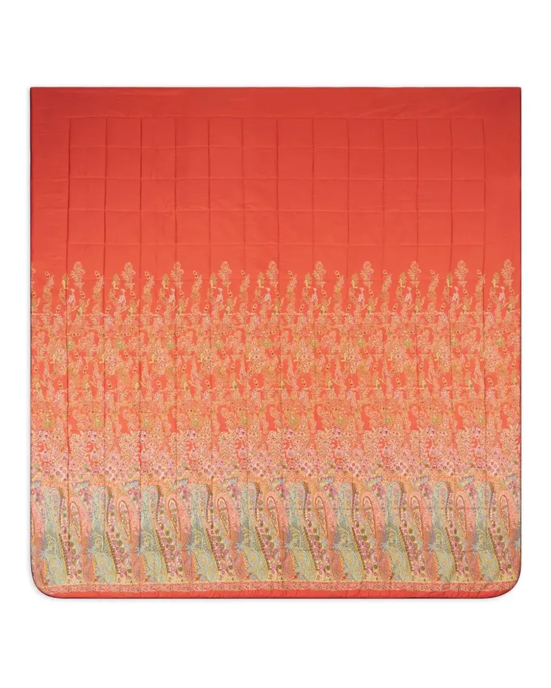 Etro Steppdecke mit Paisley-Print - Orange Orange