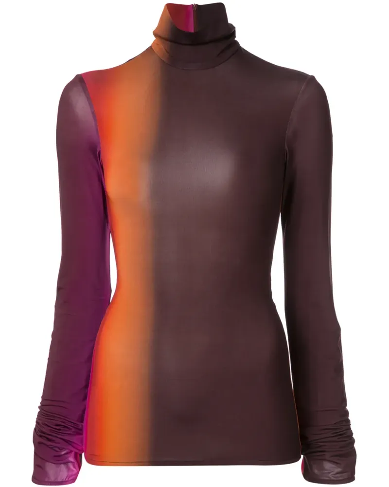 ELLERY Brut' Rollkragenpullover - Mehrfarbig Mehrfarbig