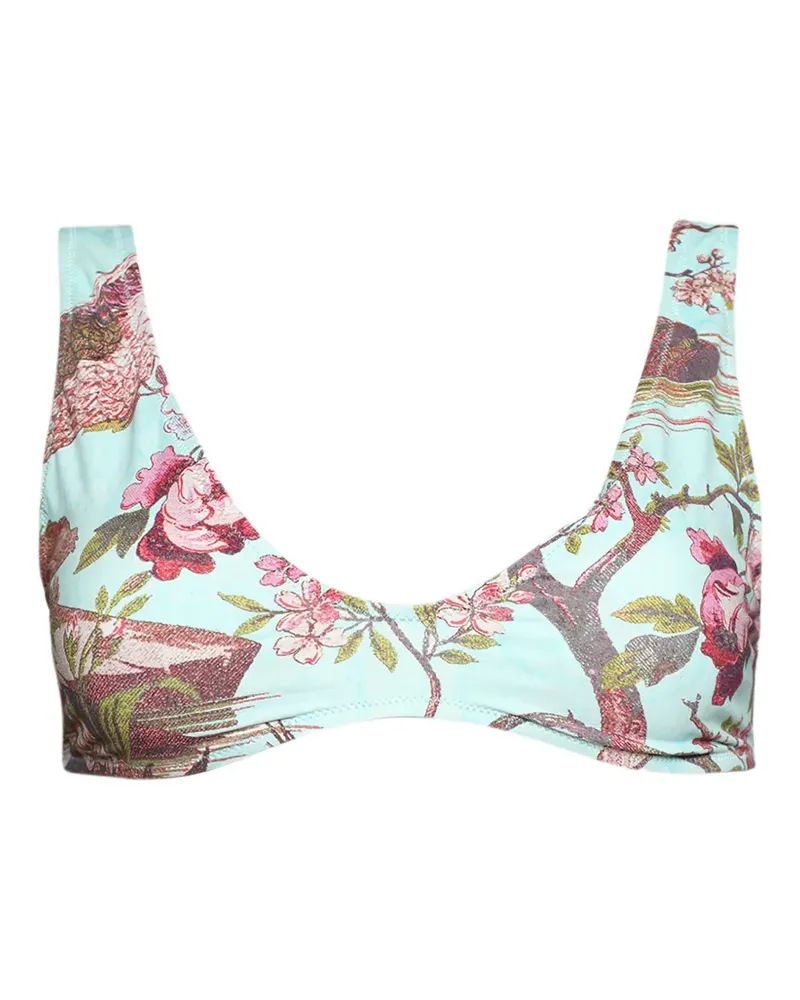 SKIMS X Roberto Cavalli floral-print bikini top - Blau Blau