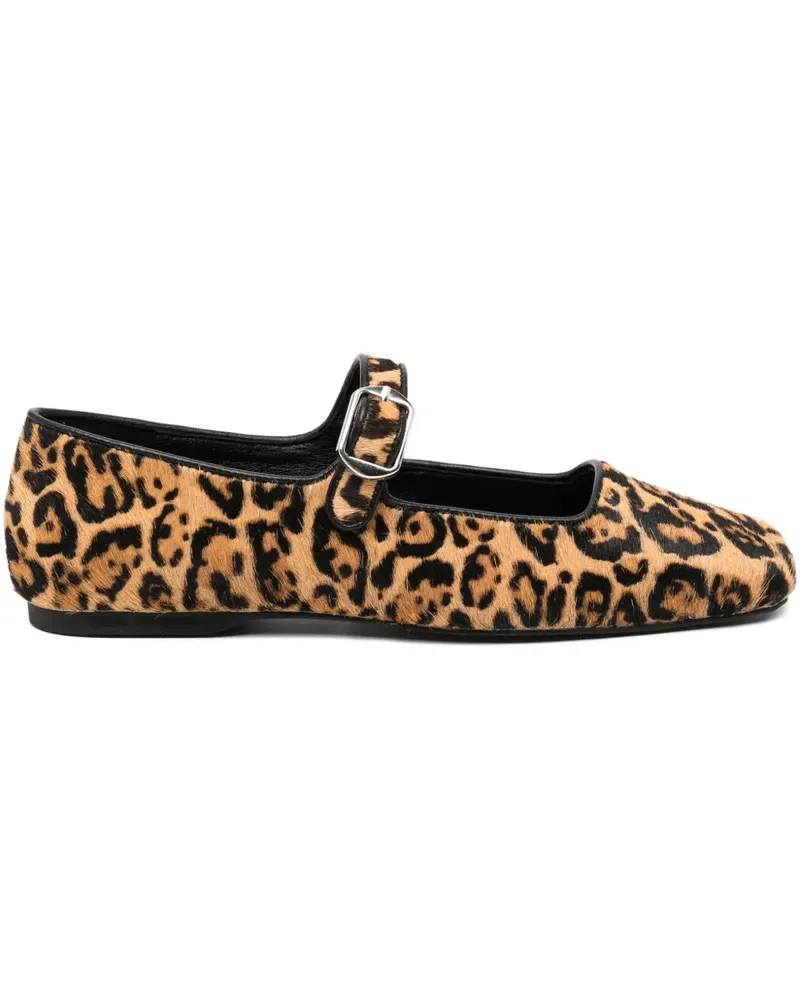 SENSO Binky IV Ballerinas - Braun Braun