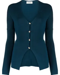 Lanvin Klassischer Cardigan Blau