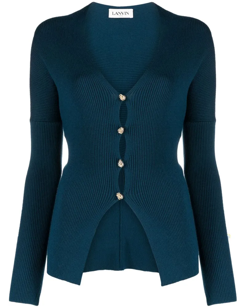Lanvin Klassischer Cardigan - Blau Blau
