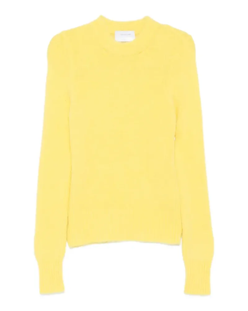 Daniele Fiesoli Langärmeliger Pullover - Gelb Gelb