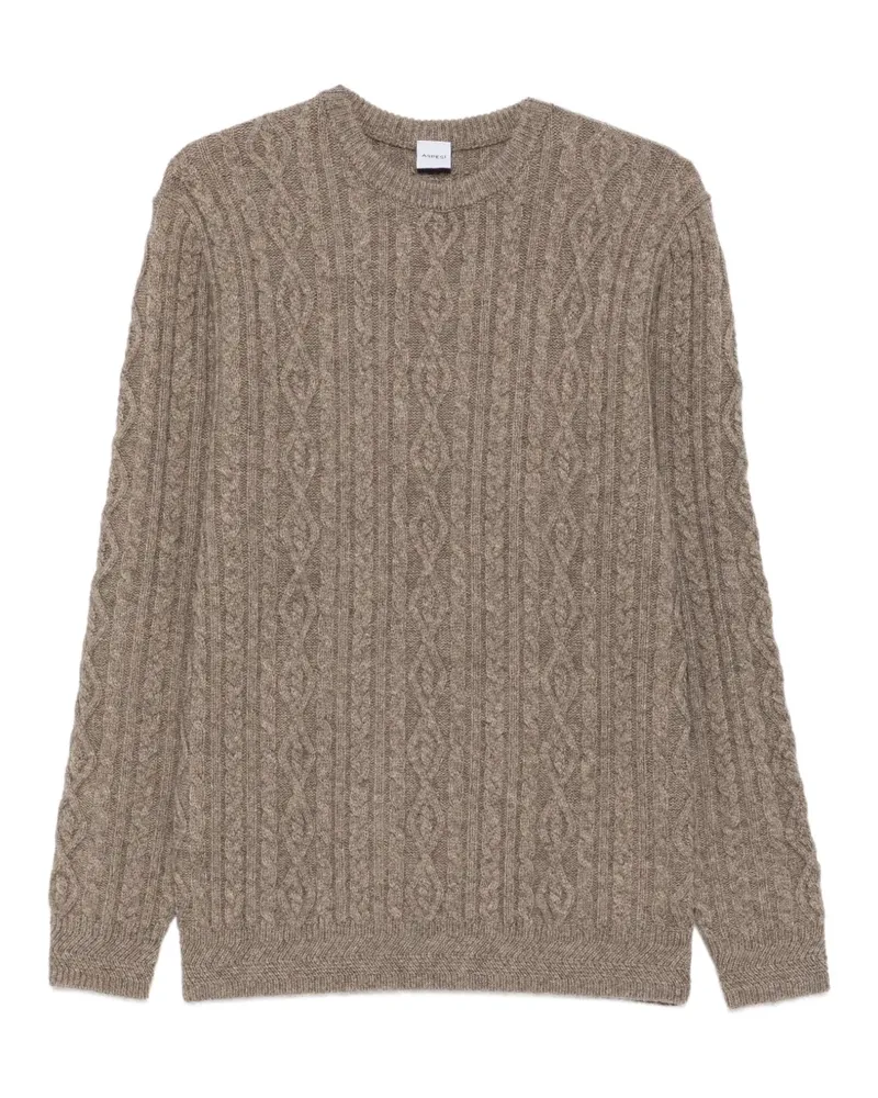 ASPESI Pullover mit Zopfmuster - Braun Braun