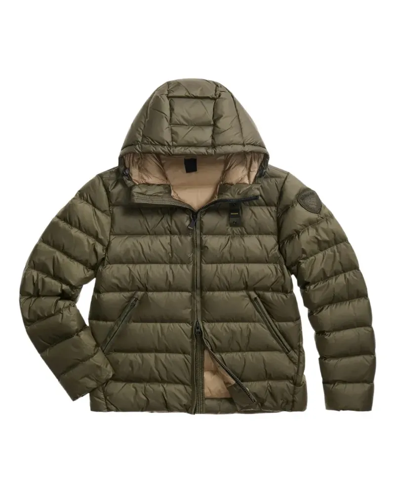 Blauer Gesteppte Kapuzenjacke - Grün Grün