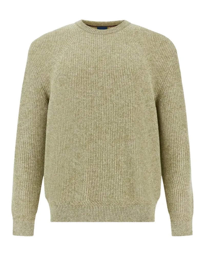Paul & Shark Piuma Pullover mit Raglanärmeln - Grün Grün