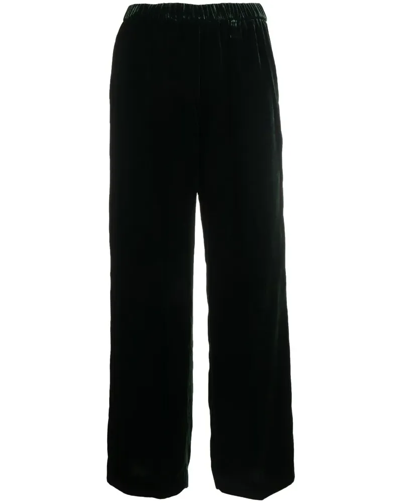 ASPESI Gerade Samthose - Grün Grün
