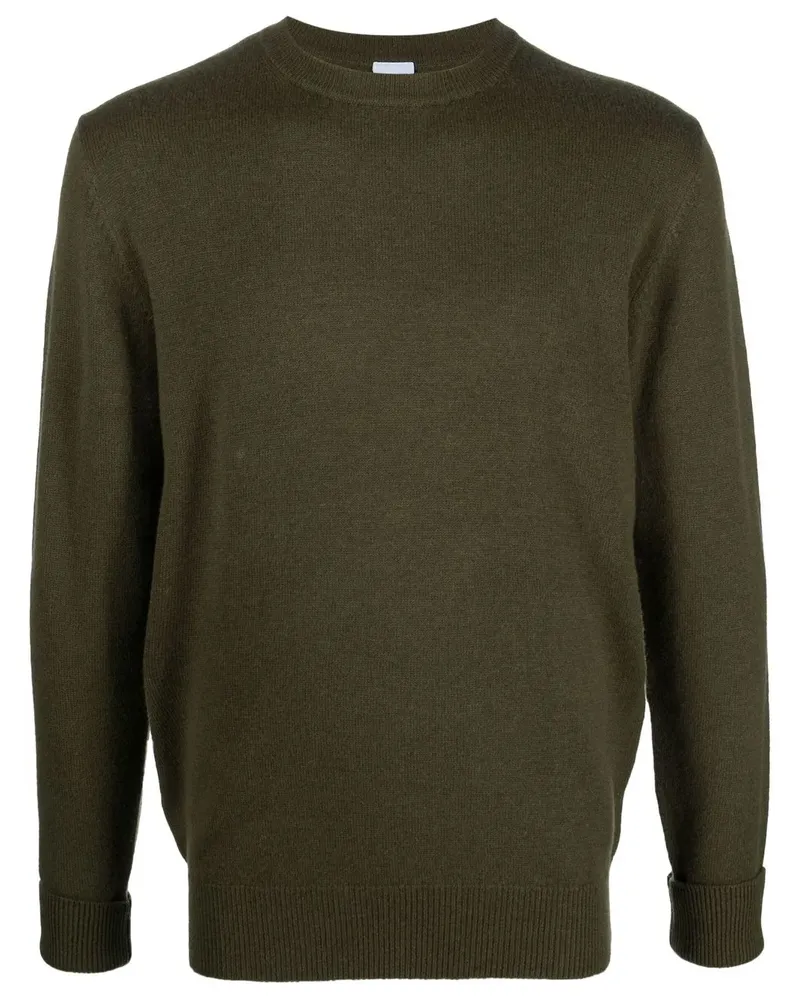 ASPESI Pullover mit rundem Ausschnitt - Grün Grün