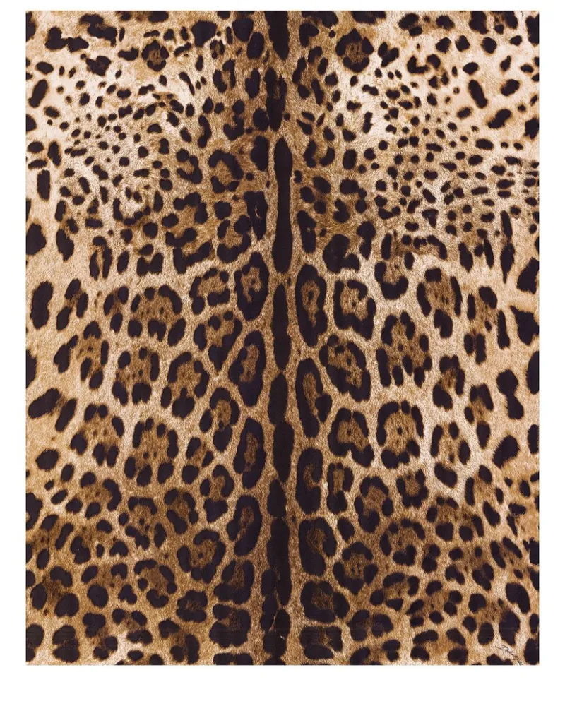 Dolce & Gabbana Tapete mit Leoparden-Print - Braun Braun