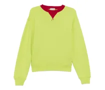 Sweatshirt mit Kontrastkragen - Grün