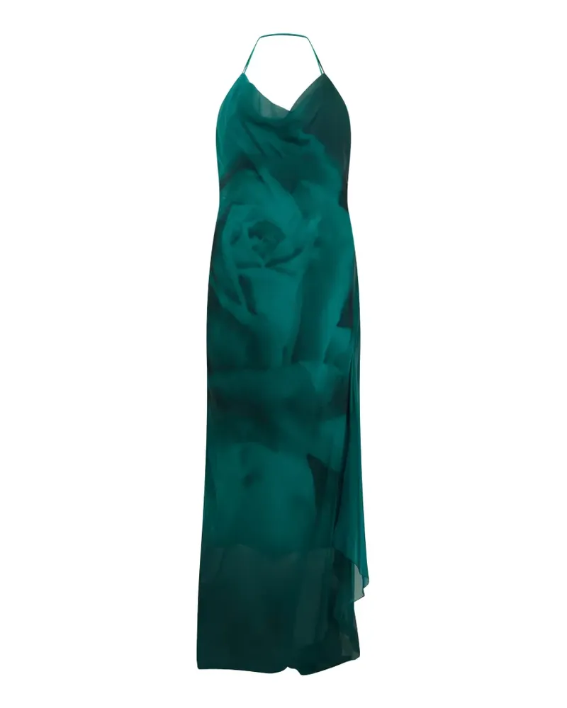 Alberta Ferretti Neckholder-Maxikleid mit Rosen-Print - Grün Grün