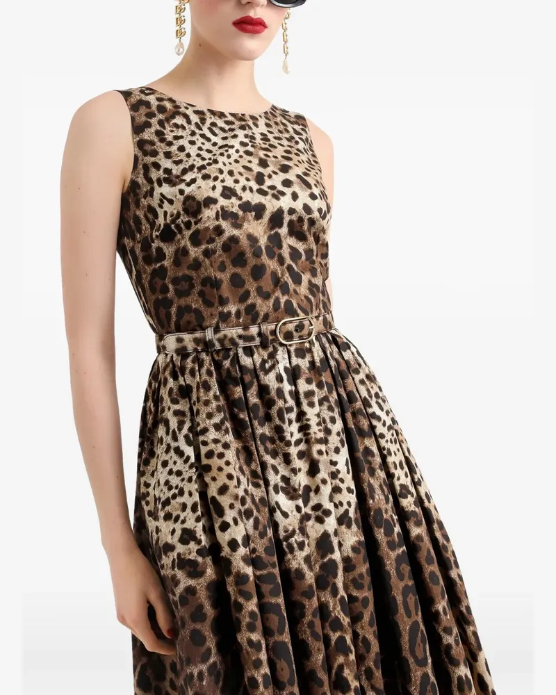 Dolce & Gabbana Popeline-Kleid mit Leo-Print - Nude Nude