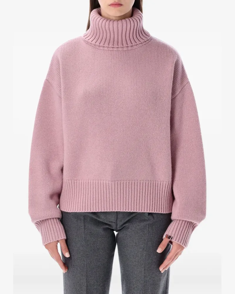 extreme cashmere ribbed roll-neck sweater - Rosa Rosa