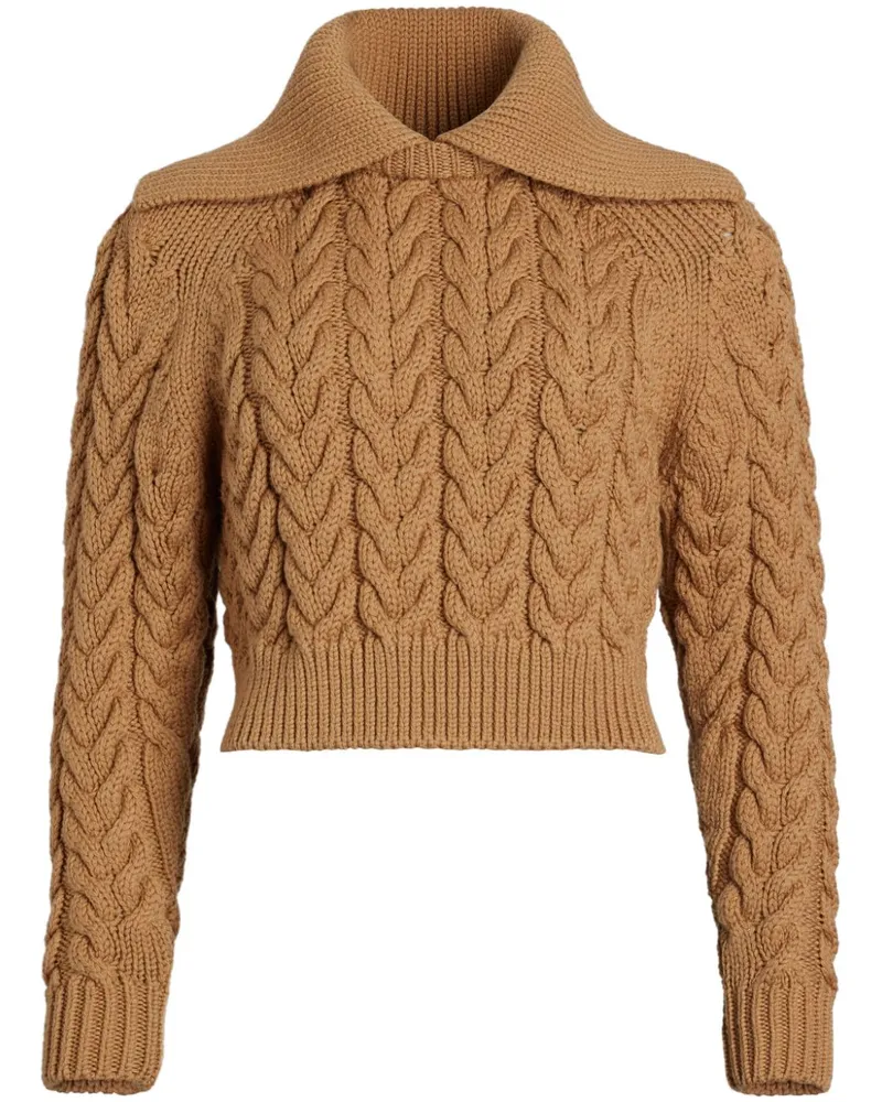 Patou Pullover mit Zopfmuster - Braun Braun