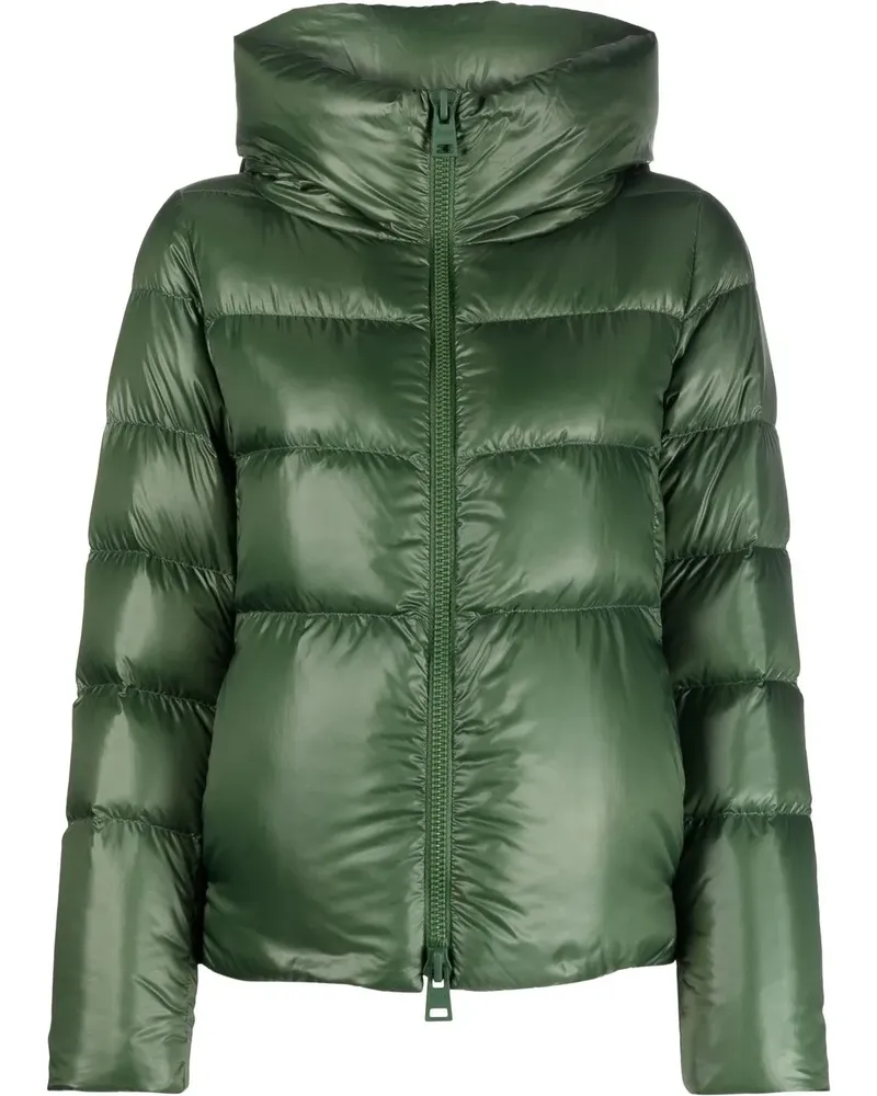 Herno Globe Daunenjacke mit Stehkragen - Grün Grün