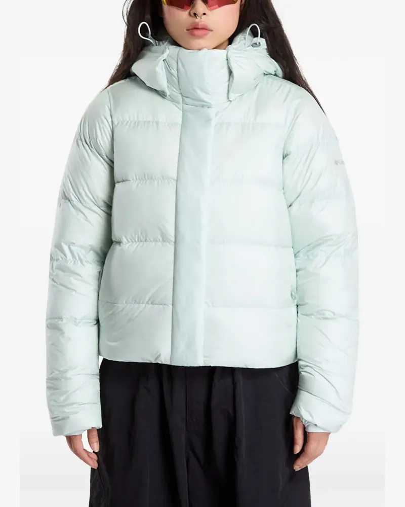 Columbia Sportswear Company Amaze Puff hooded jacket - Grün Grün