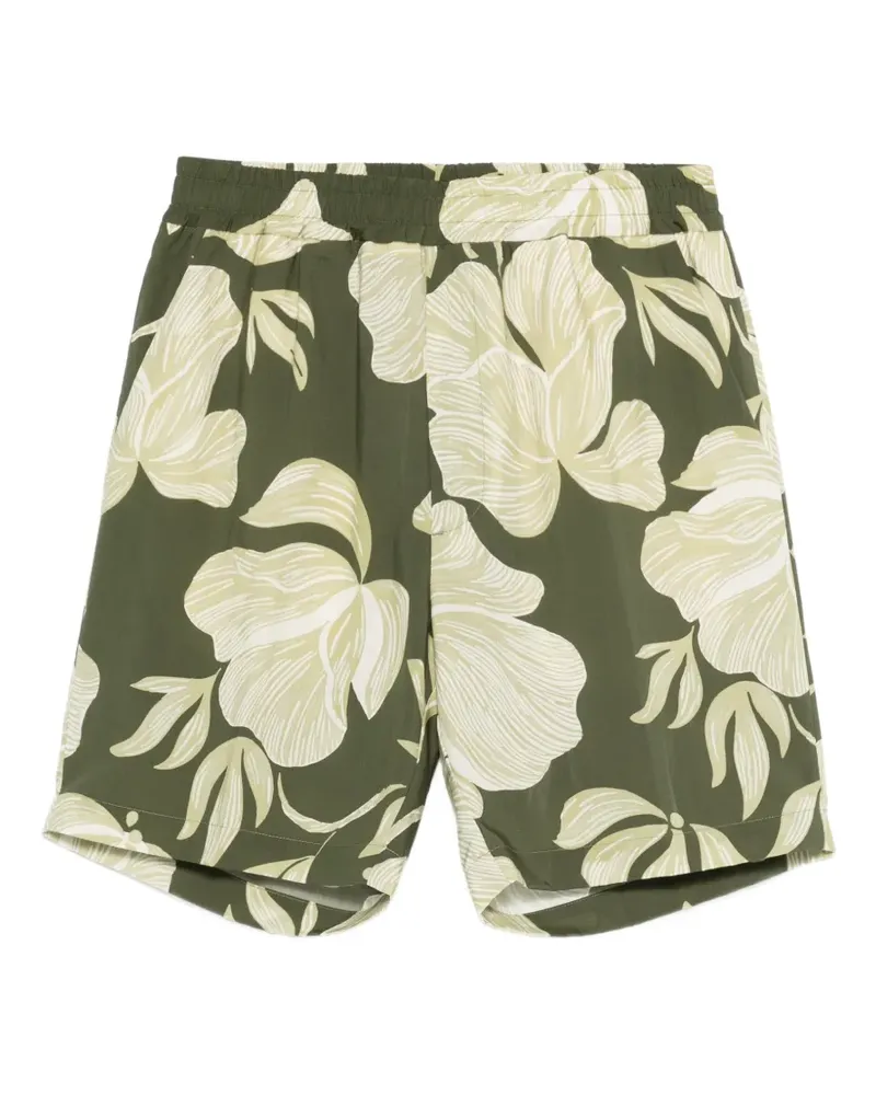 Altea floral-print shorts - Grün Grün