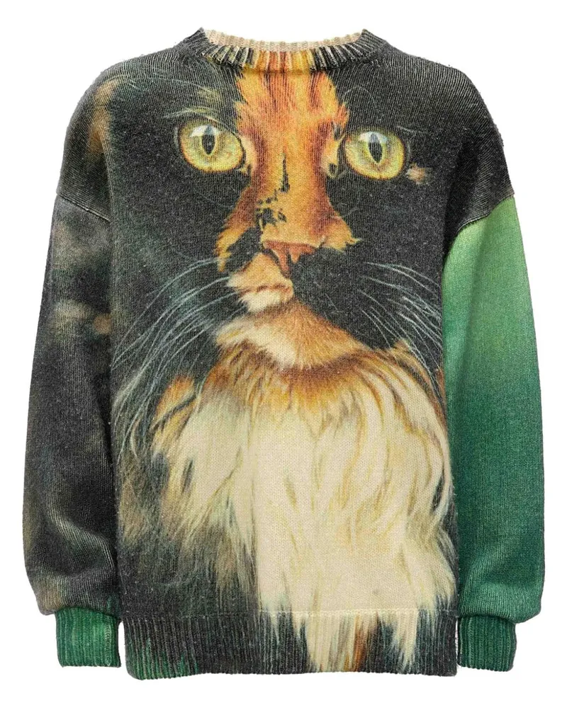 J.W.Anderson Pullover mit Print - Grün Grün