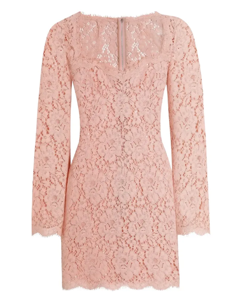 Dolce & Gabbana Cordonetto Minikleid aus Spitze - Rosa Rosa