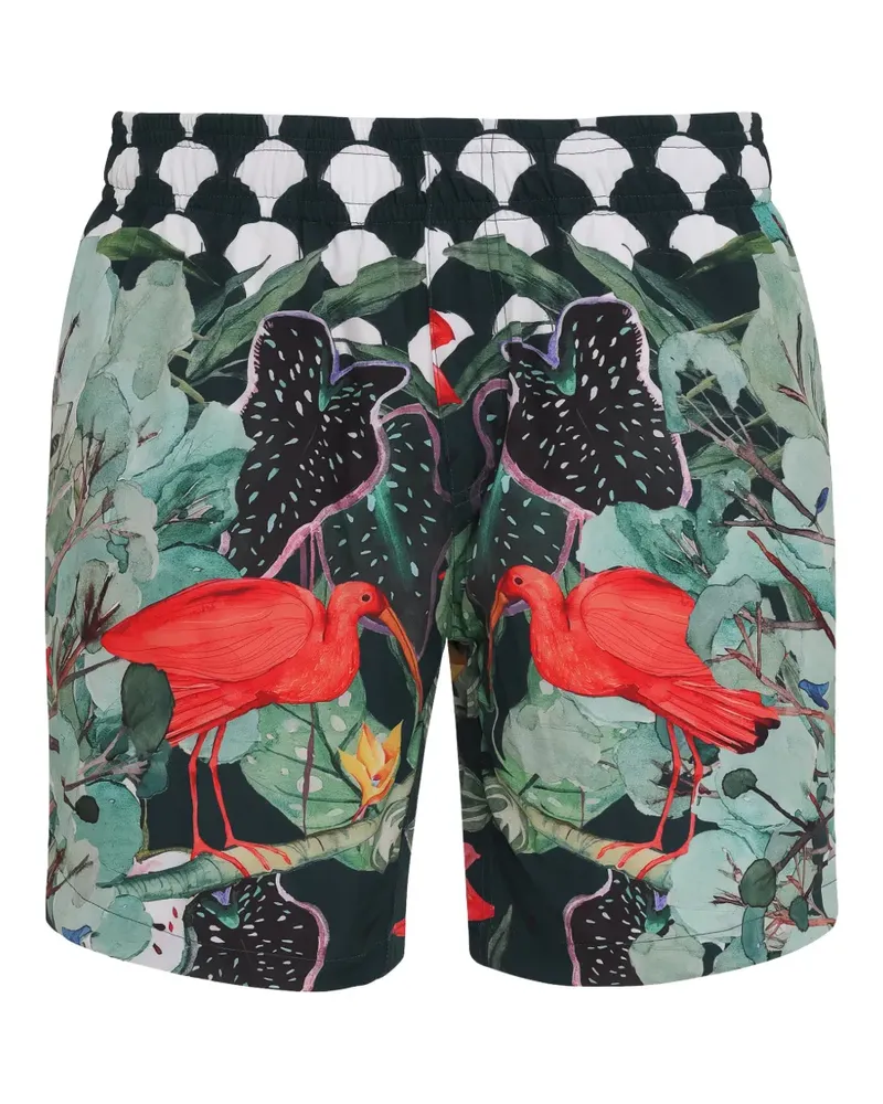 Amir Slama Badeshorts mit Ibis-Print - Grün Grün