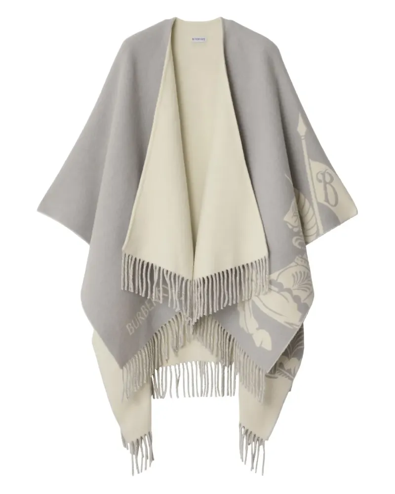 Burberry Klassischer Schal - Grau Grau