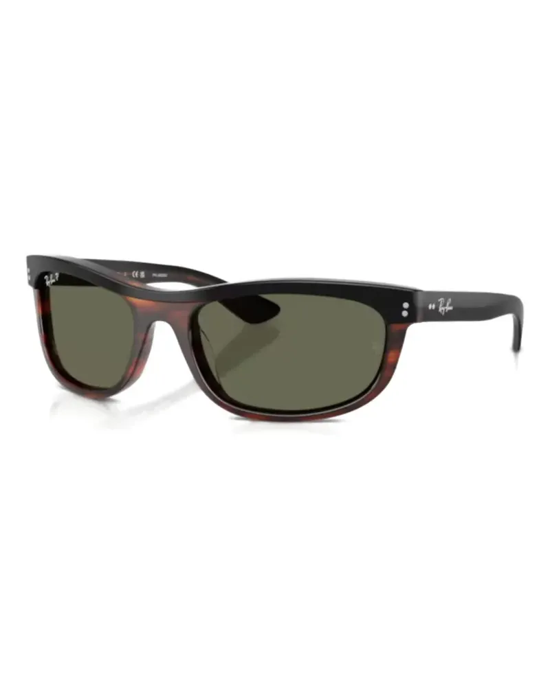 Ray Ban brown tortoiseshell sunglasses - Braun Braun