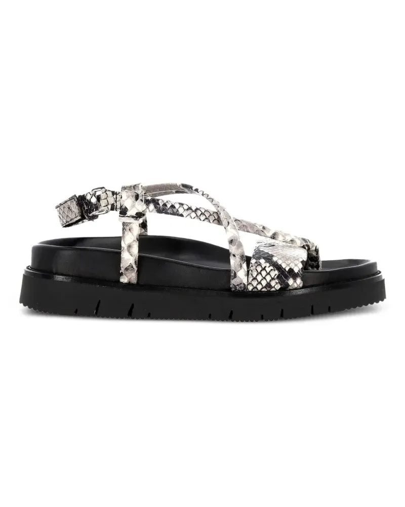 Patrizia Bonfanti snakeskin-effect buckled sandals - Grau Grau