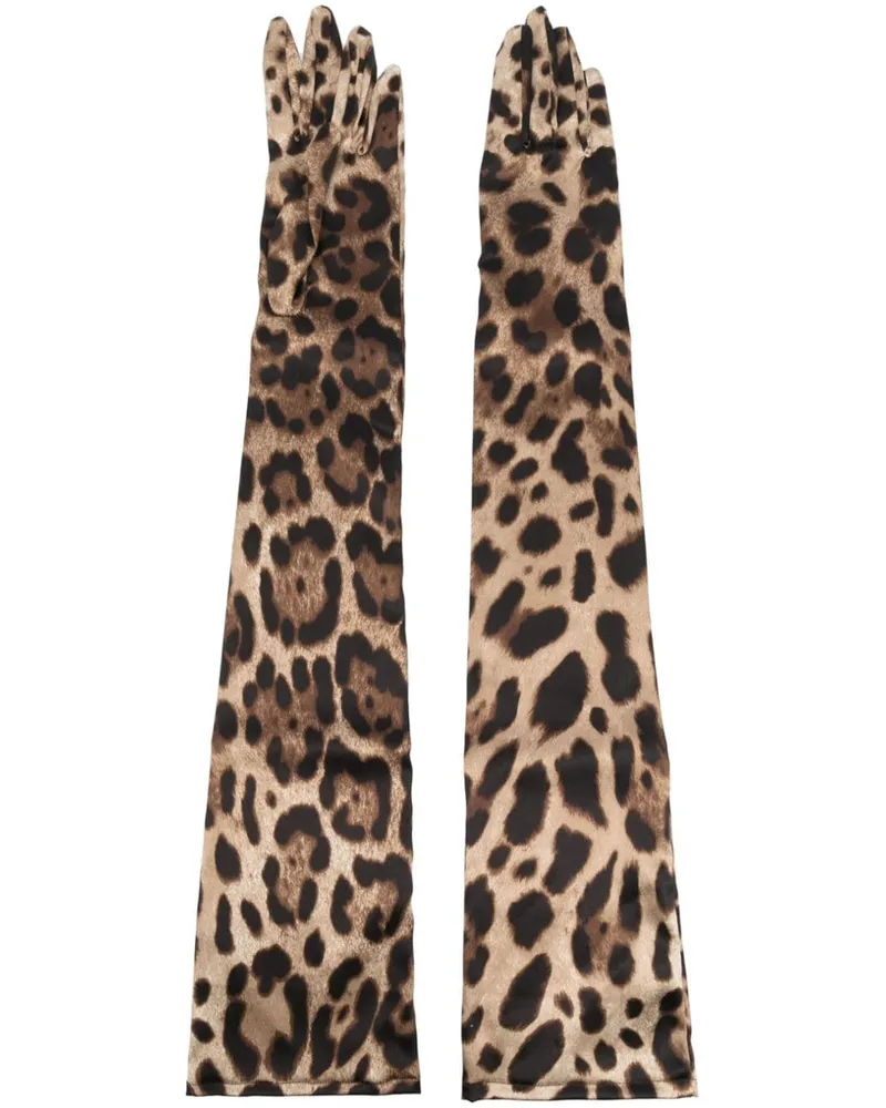 Dolce & Gabbana Handschuhe mit Print - Braun Braun