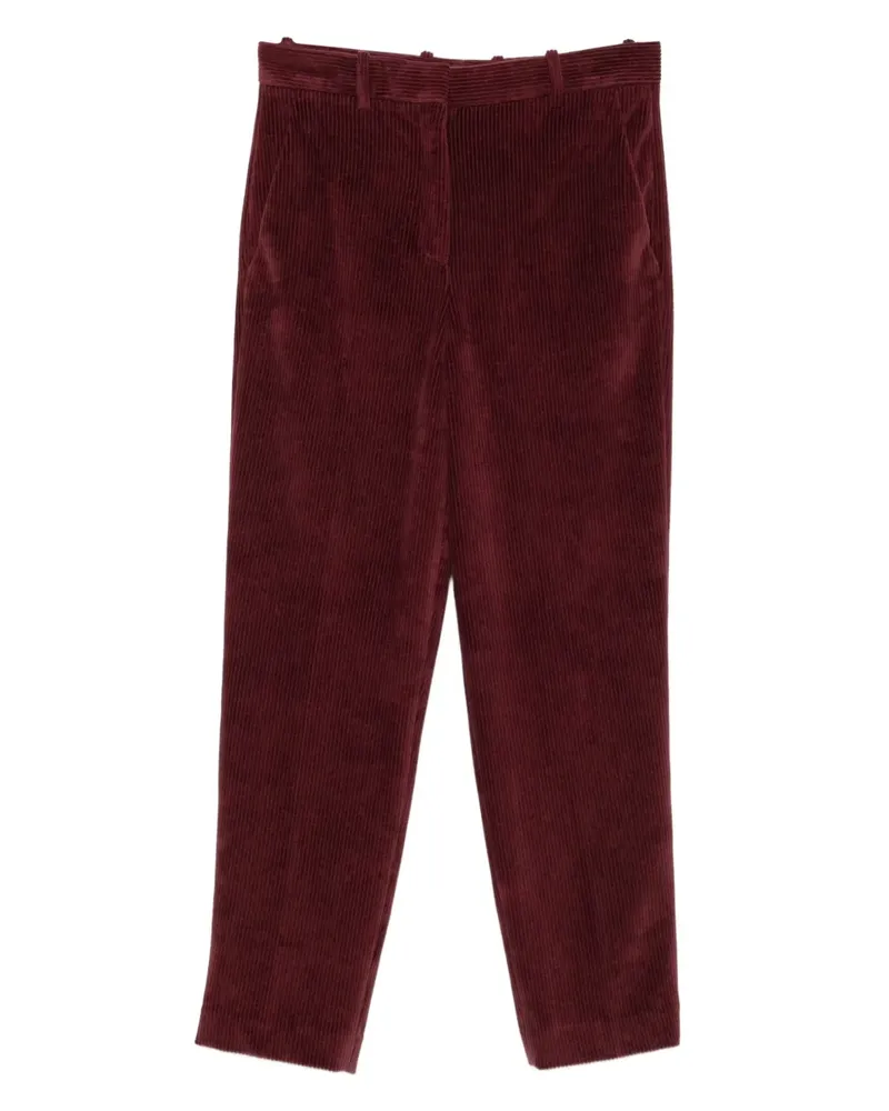 CIRCOLO 1901 Hose aus Cord - Rot Rot
