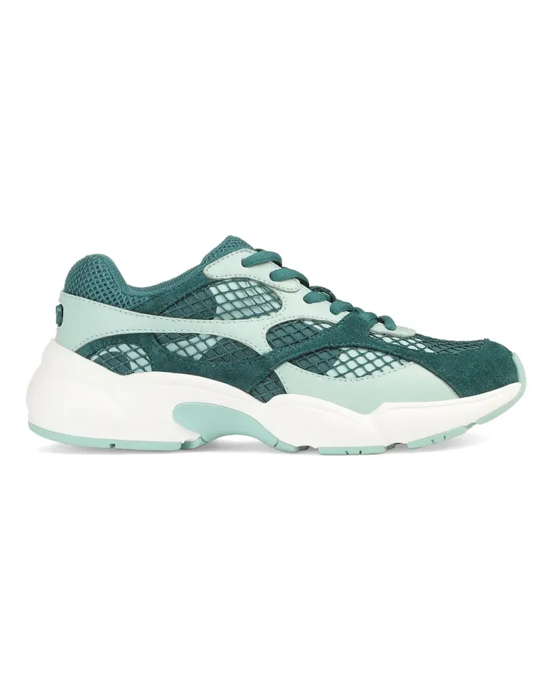 Sergio Rossi Surge Sport panelled sneakers - Grün Grün