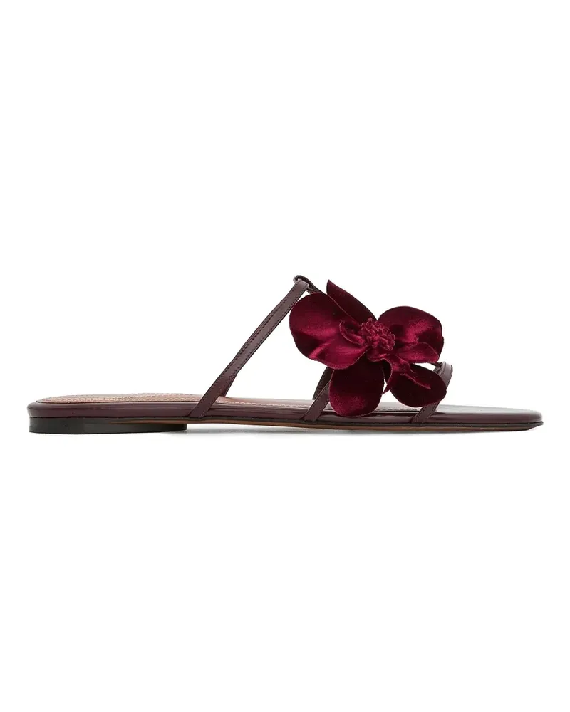 Zimmermann Orchid Slide floral-applique sandals - Rot Rot