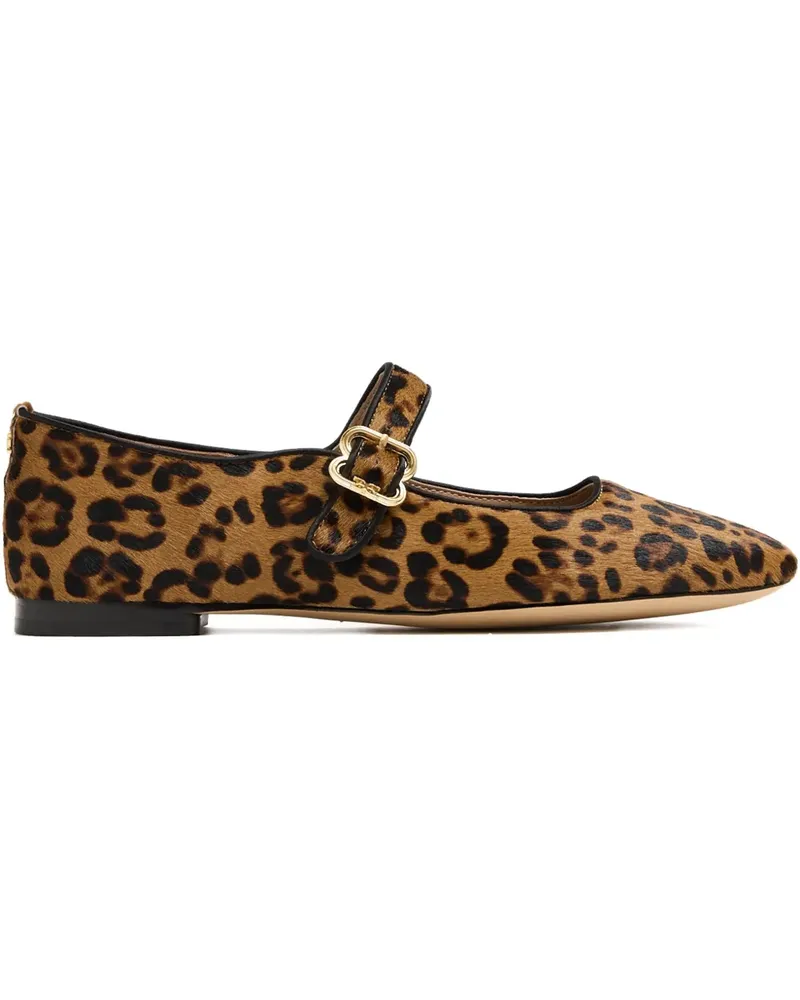Sam Edelman Michaela ballet flats - Braun Braun