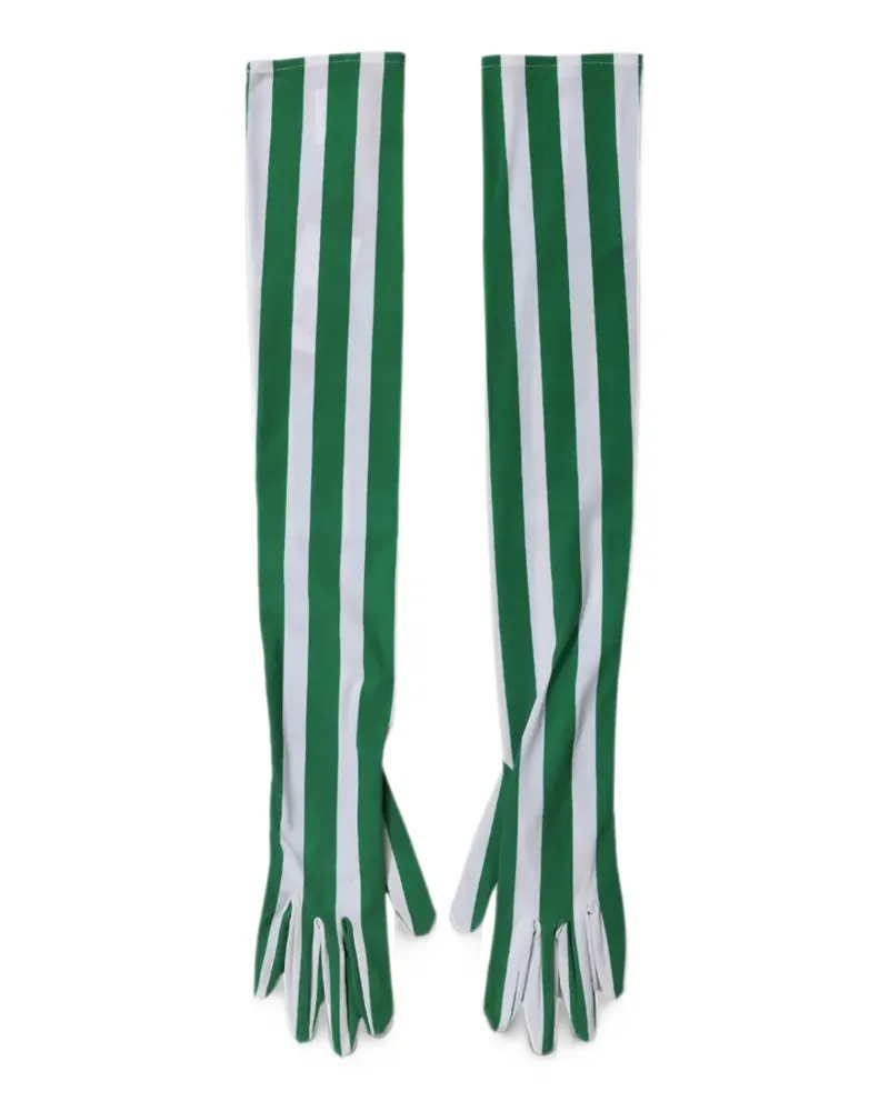 Dolce & Gabbana striped elbow-length gloves - Grün Grün