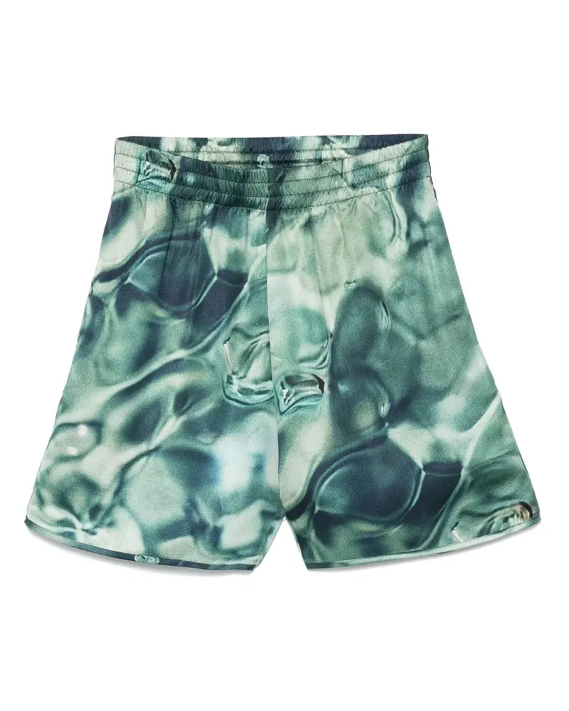 Blue Sky Inn Water Shorts - Grün Grün