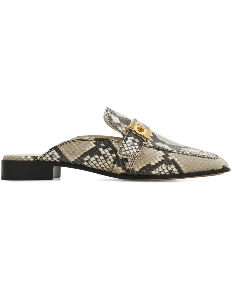 Ferragamo Mules mit Schlangenschnalle - Grau Grau