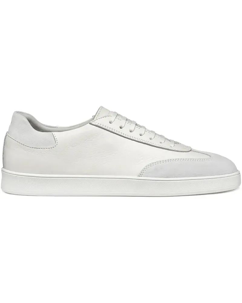 Geox Regio Sneakers - Weiß Weiß