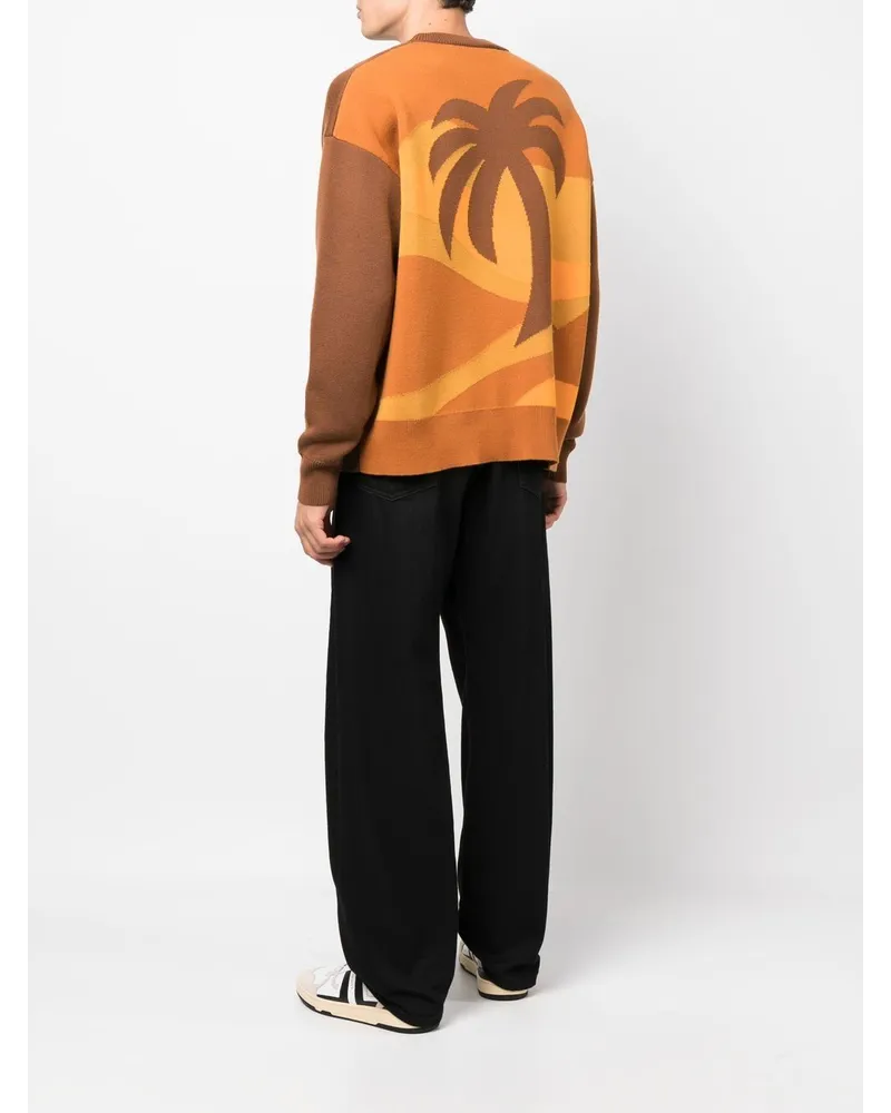 Palm Angels Intarsien-Pullover mit Palme - Braun Braun