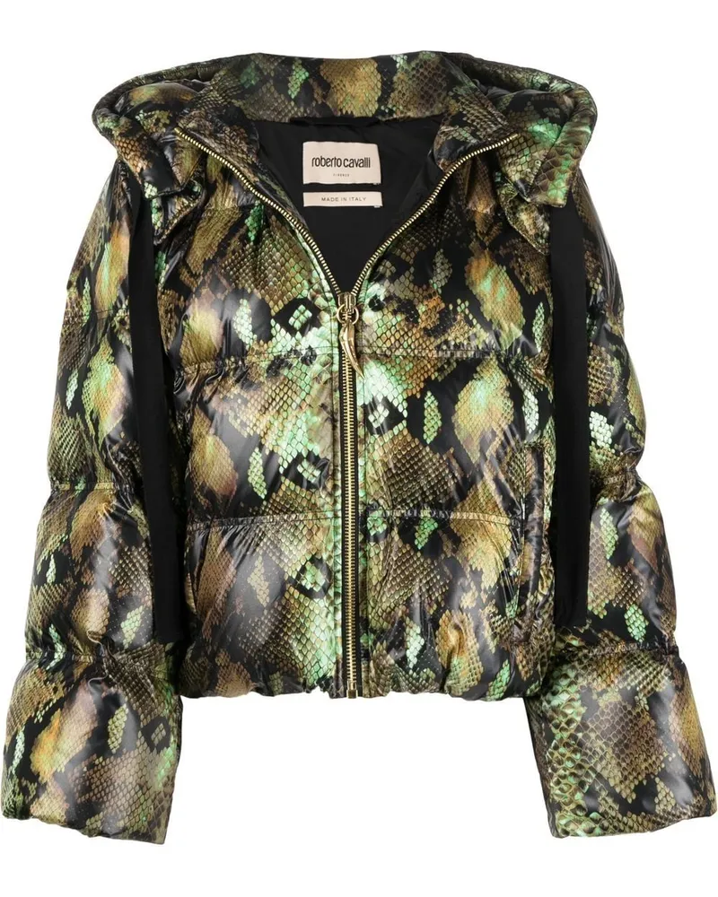 Roberto Cavalli Jacke mit Schlangenleder-Print Grün