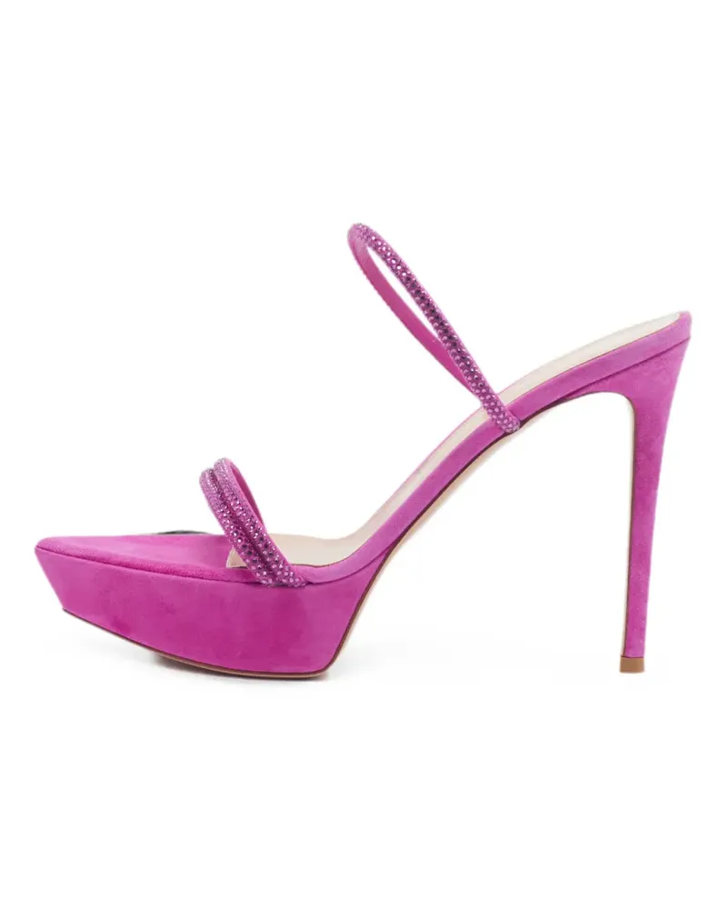 Gianvito Rossi Cannes Plateau-Sandalen - Rosa Rosa