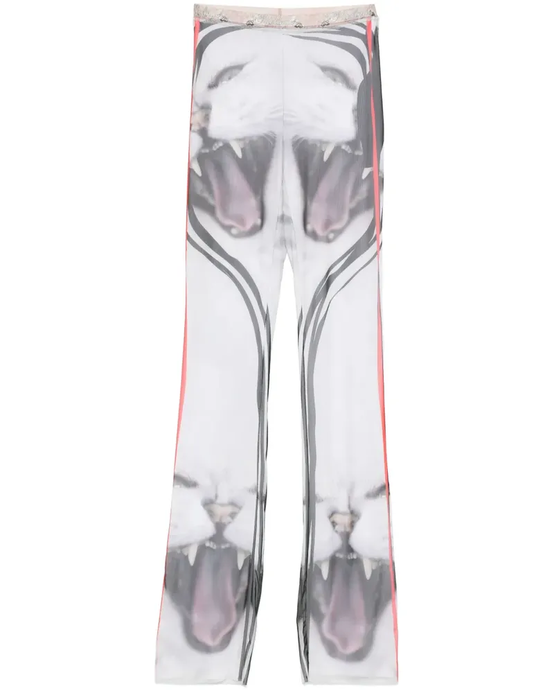 OTTOLINGER Mesh-Hose mit Katzen-Print - Grau Grau