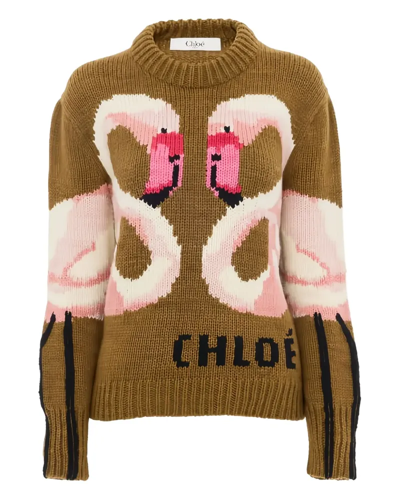 Chloé Bestickter Pullover - Braun Braun
