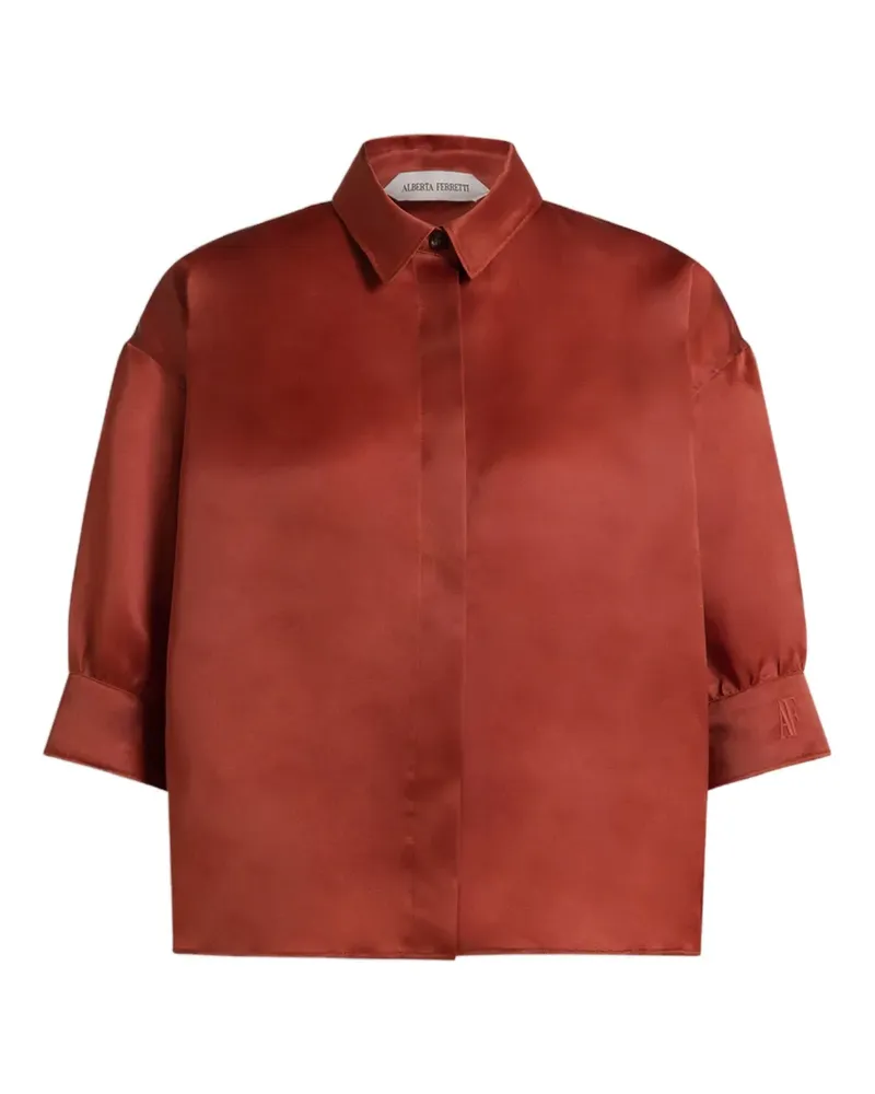 Alberta Ferretti Klassisches Hemd - Braun Braun