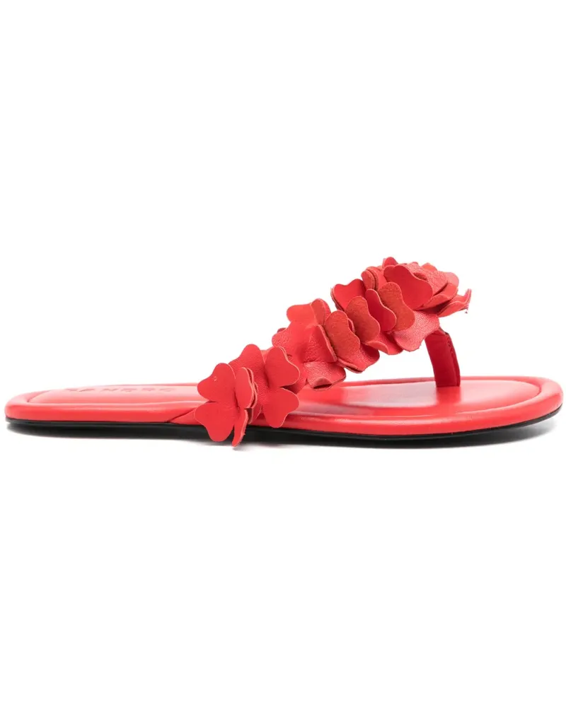 Sandro Flip-Flops mit Blumenapplikation - Rot Rot