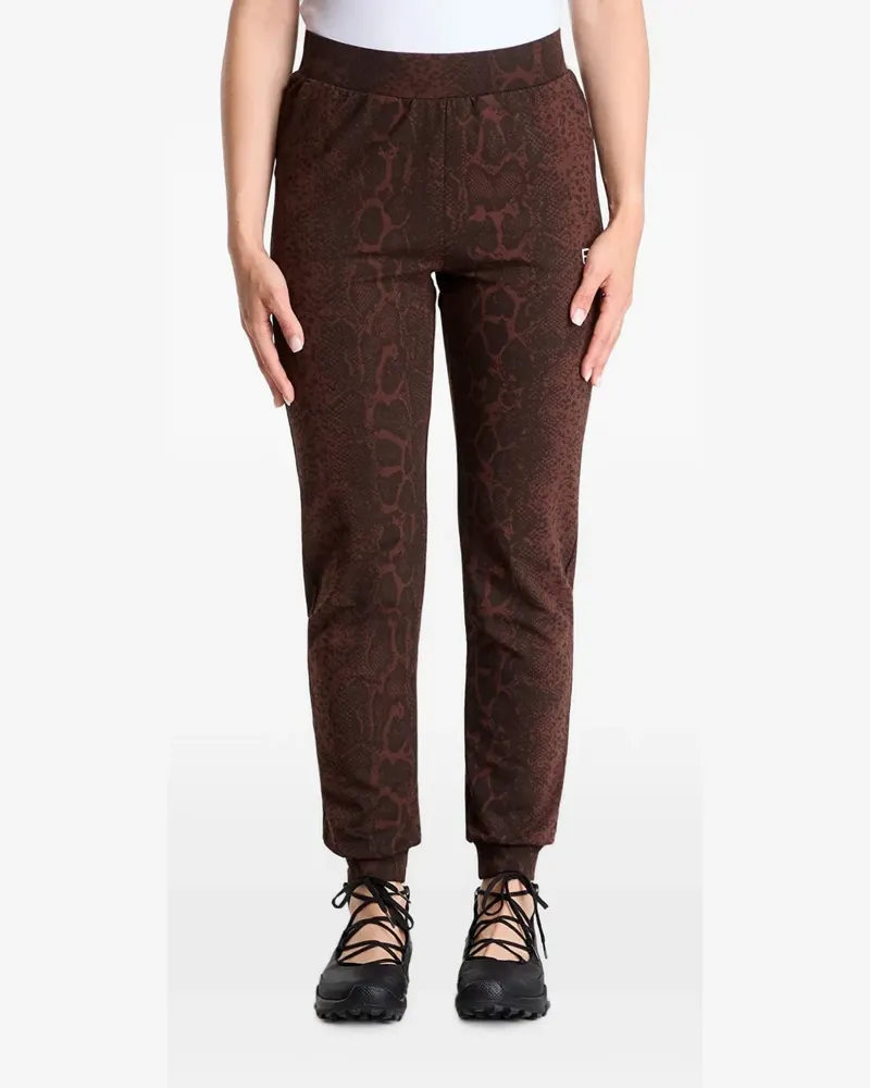 EA7 snakeskin-print track pants - Braun Braun
