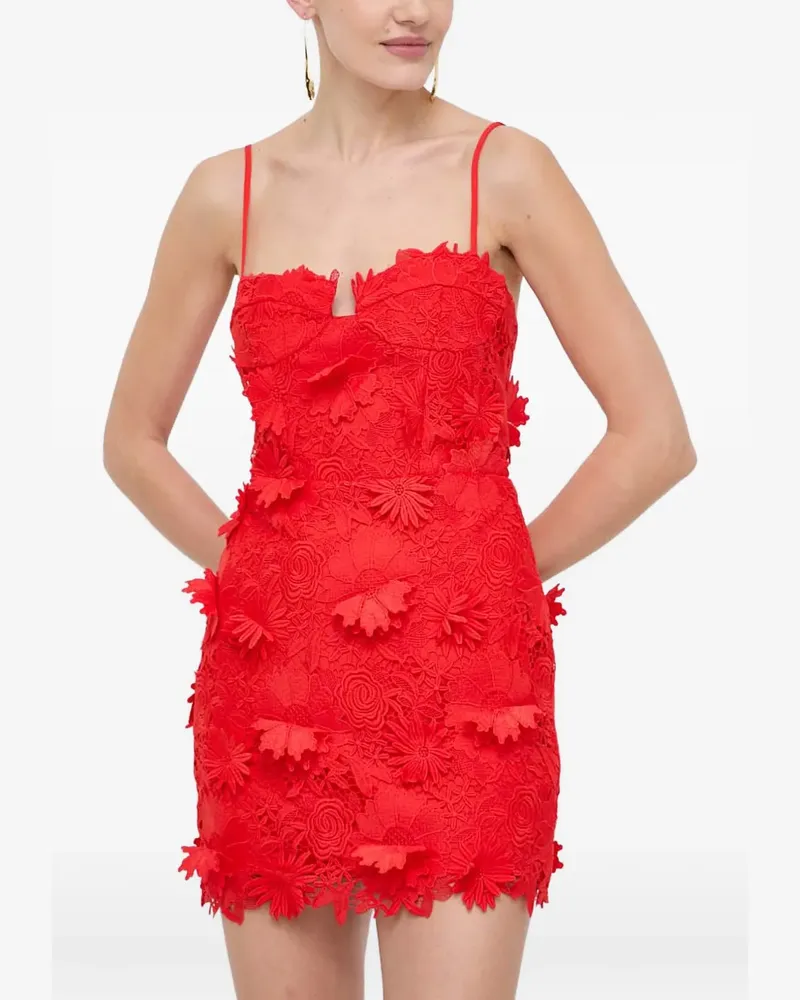 Bardot floral-lace mini fitted cocktail dress - Rot Rot