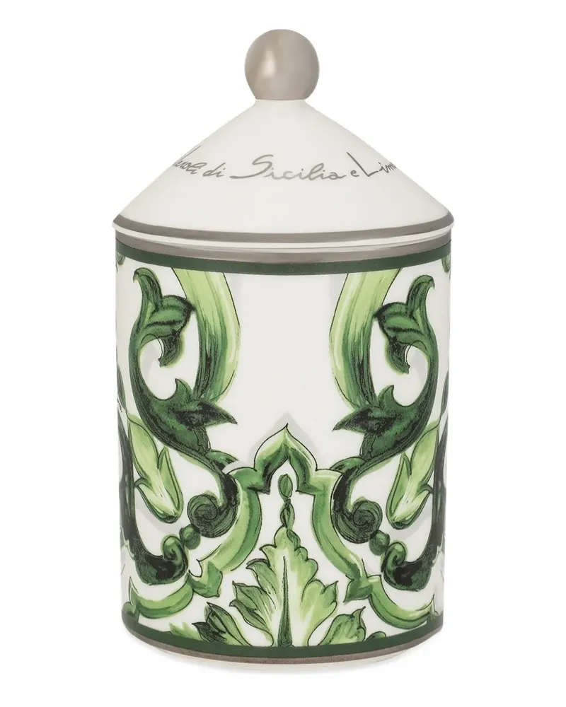 Dolce & Gabbana Casa Maiolica Duftkerze (340g) - Weiß Weiß