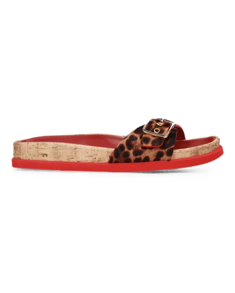 Premiata Pantoletten mit Leopardenprint und Schnalle - Braun Braun