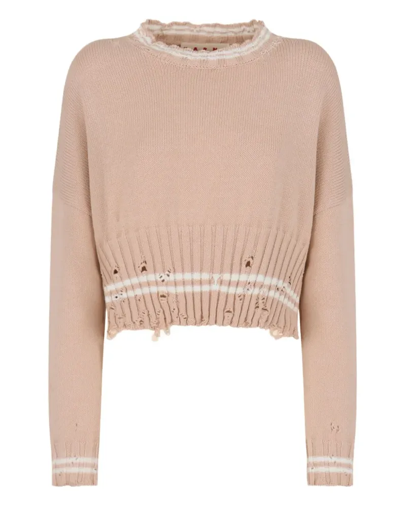 Marni Cropped-Pullover - Nude Nude