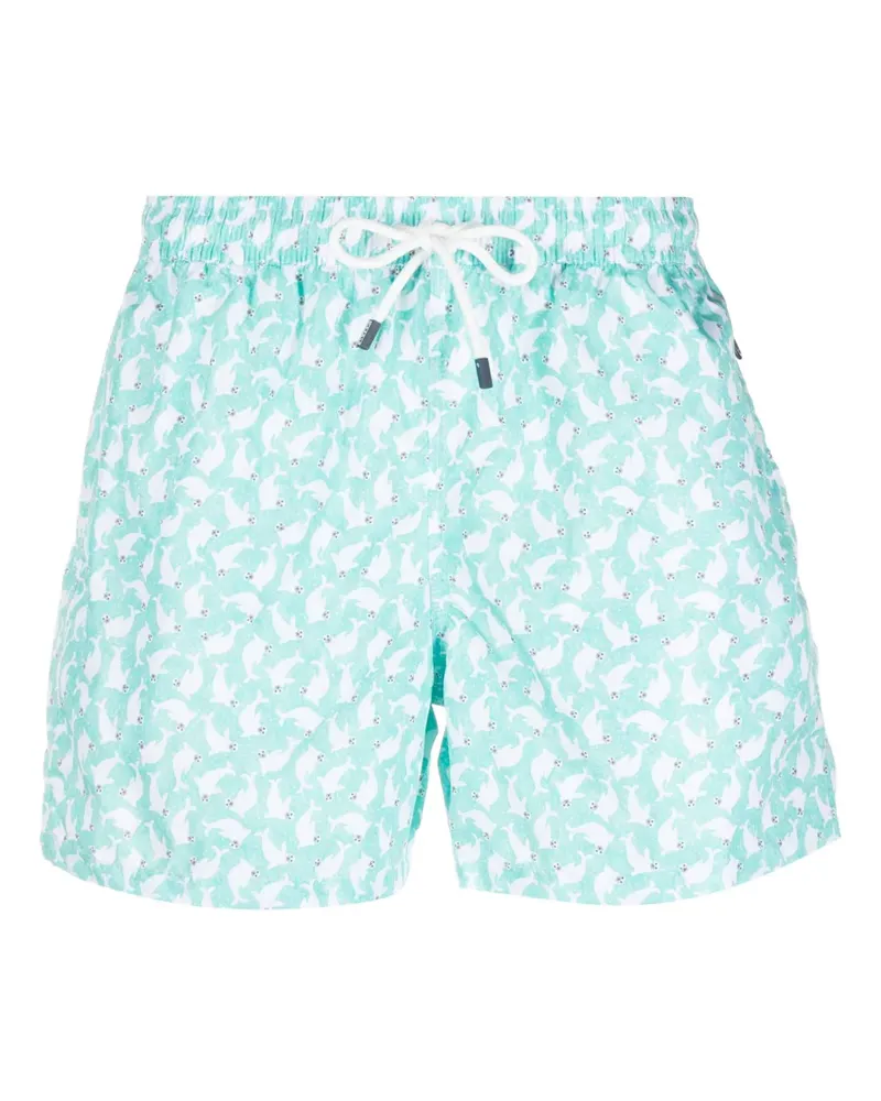Fedeli Madeira Badeshorts mit Robben-Print - Grün Grün