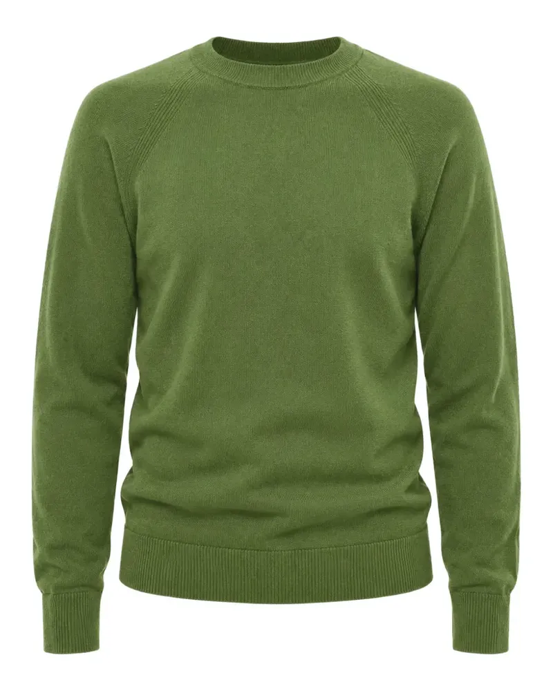 Paolo Pecora Milano crew-neck raglan-sleeve sweater - Grün Grün